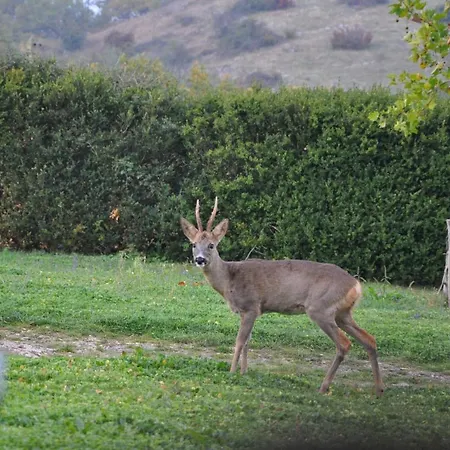 Gerendaház La Truffiere - Cantecor *